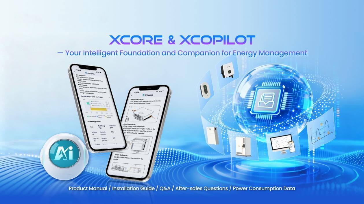 1765343726546606.jpg XCopilot.jpg